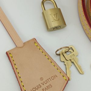 Сумка Louis Vuitton Alma